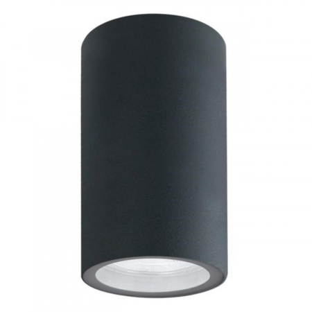 Влагозащищенный светильник ARTE Lamp A3302PF-1GY