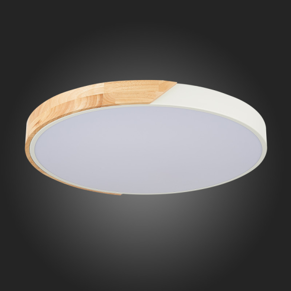 Накладной светильник Evoluce SLE200952-01