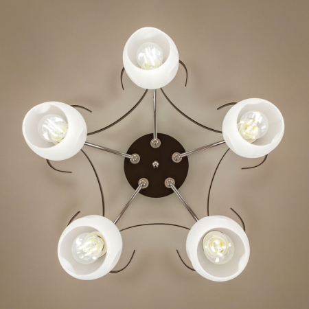 Накладная люстра Citilux CL171154