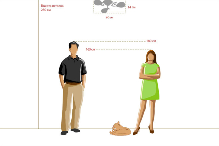 Накладная люстра MW-Light 267012803