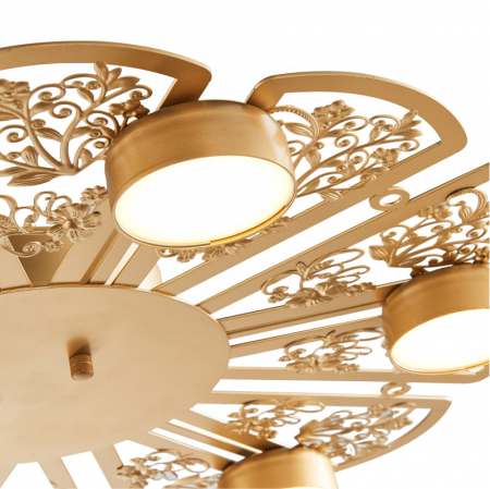 Накладная люстра Favourite 2605-6C