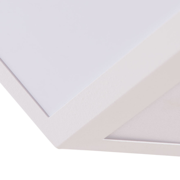 Накладной светильник ARTE Lamp A1929PL-1WH