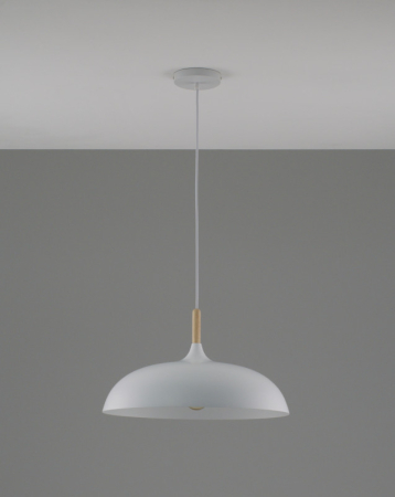 Подвесной светильник Moderli V11447-1P