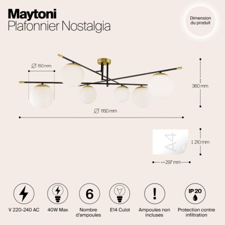 Люстра на штанге Maytoni MOD048CL-06G