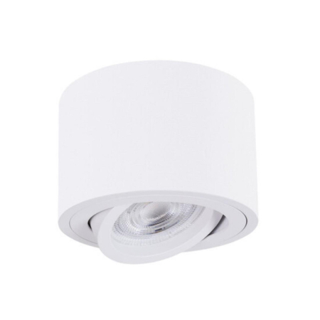 Накладной светильник ARTE Lamp A2260PL-1WH