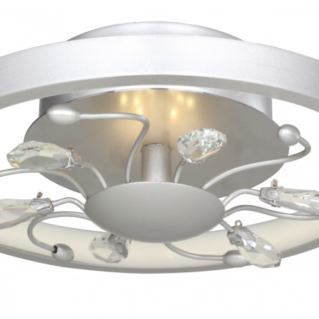 Накладной светильник Favourite 2523-2C