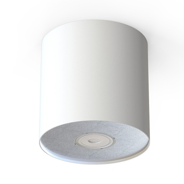 Накладной светильник Nowodvorski 6001