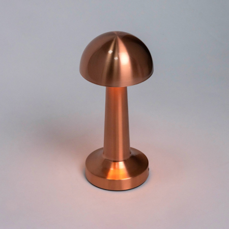 Настольная лампа Escada 10257/L LED