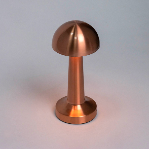 Настольная лампа Escada 10257/L LED