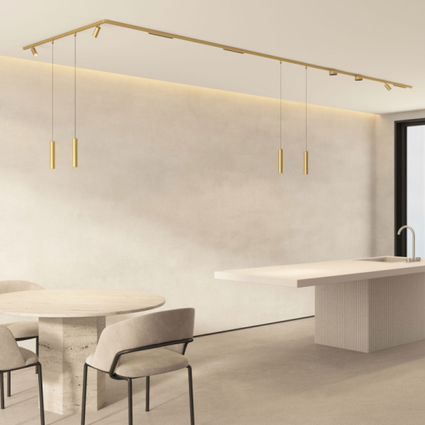 Светильник на шине Denkirs DK5772-SB