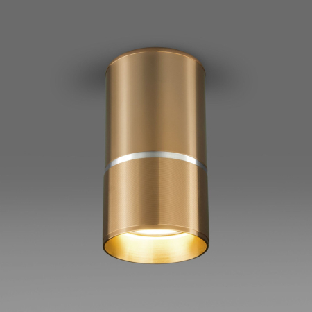 Накладной светильник Elektrostandard DLN106 GU10 золото