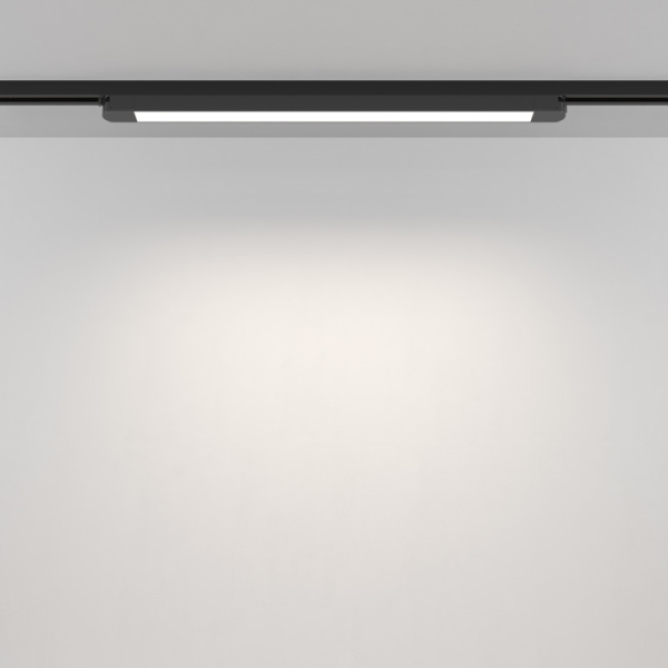Светильник на шине Maytoni Technical TR000-1-24W4K-B_1