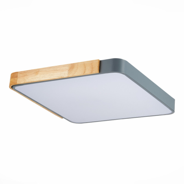 Накладной светильник Evoluce SLE201272-01