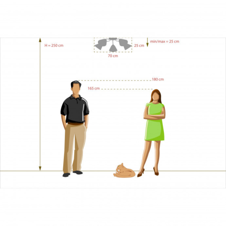 Накладная люстра DeMarkt 676015205