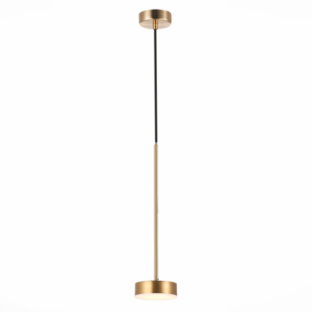 Подвесной светильник ST-Luce SL6000.303.01