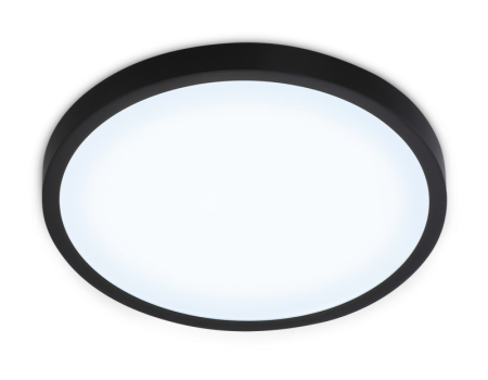 Накладной светильник Ambrella Light FZ1953