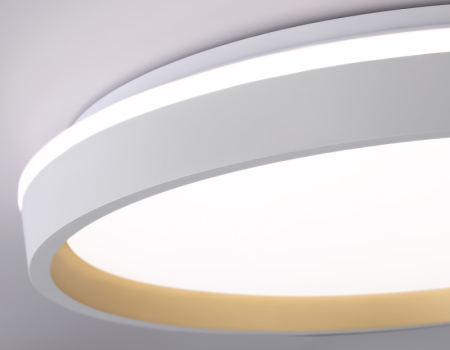 Накладной светильник Ambrella Light FZ607