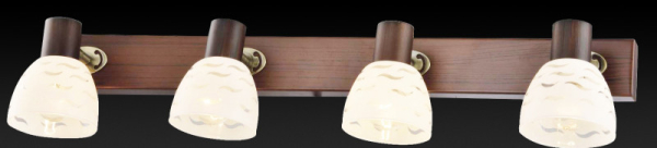 Спот TOPLIGHT TL3730Y-04BB