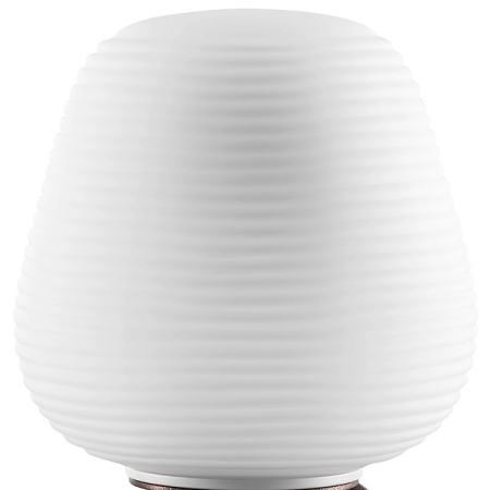 Настольная лампа Lightstar 805911