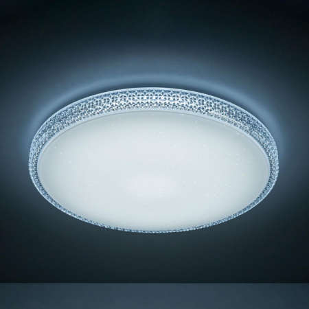 Накладной светильник Citilux CL718A100G