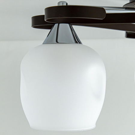 Накладная люстра Citilux CL171134