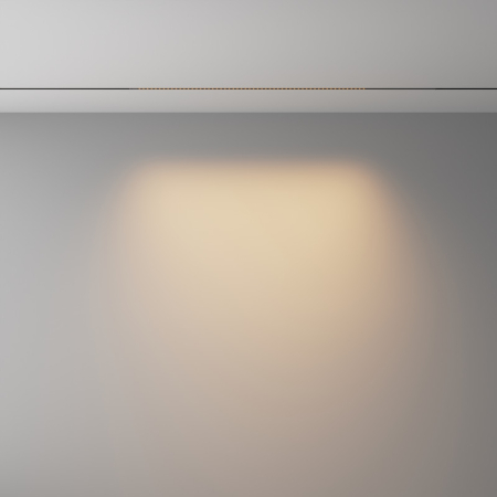 Светильник на шине Maytoni Technical TR241-4-12WTW-DD2-B