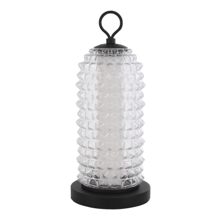 Настольная лампа ST-Luce SL6144.404.01