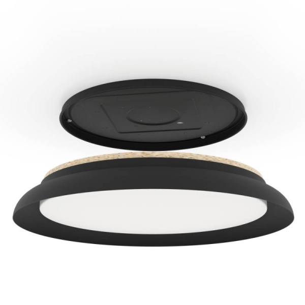 Накладной светильник EGLO 900857