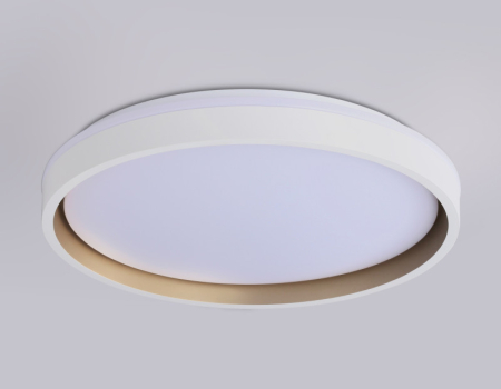 Накладной светильник Ambrella Light FZ607