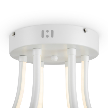 Накладная люстра Freya FR6044CL-L114W