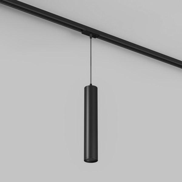 Светильник на шине Denkirs DK6210-BK