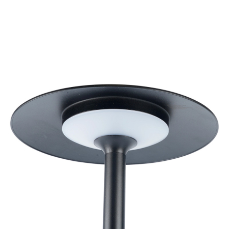 Садово-парковый светильник Feron 51980