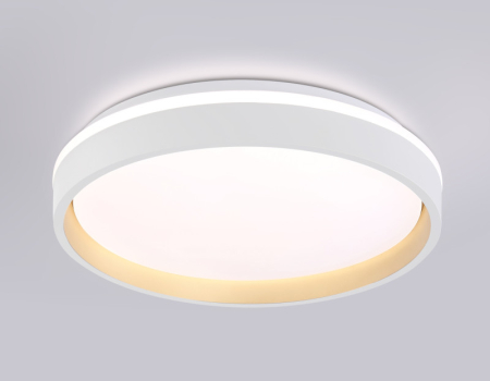 Накладной светильник Ambrella Light FZ601