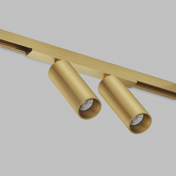 Светильник на шине Denkirs DK5742-SB