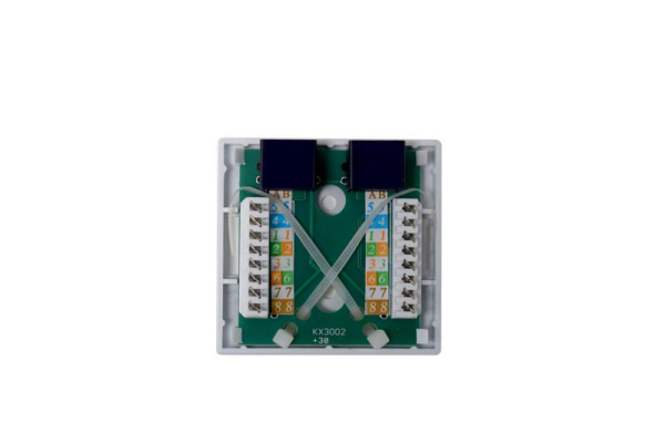 Розетка компьютерная 8P8C (RJ45) UTP кат.5E 2 порта TOKOV ELECTRIC TKE-SMB-8P8C-2P-UTP