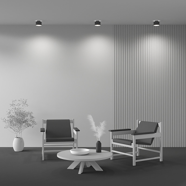 Накладной светильник Maytoni Technical C009CW-L16B