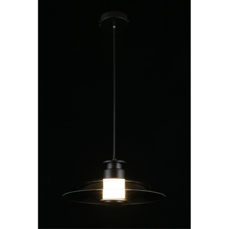 Подвесной светильник APLOYT APL.648.06.10