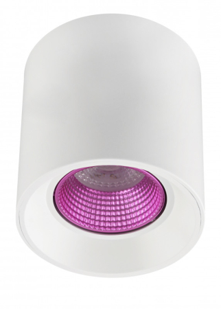 Накладной светильник Denkirs DK3090-WH+PI