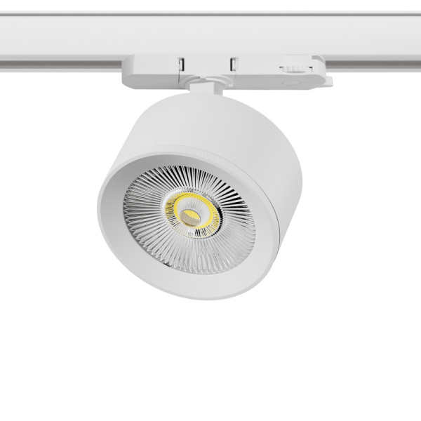 Светильник на шине Lightstar A5546QT