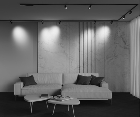 Светильник на шине Maytoni Technical TR243-4-12WTW-DD2-B