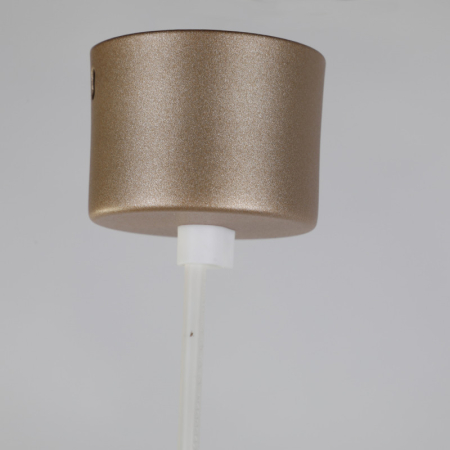 Подвесной светильник Favourite 2244-1P