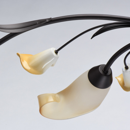 Накладная люстра MW-Light 242017006