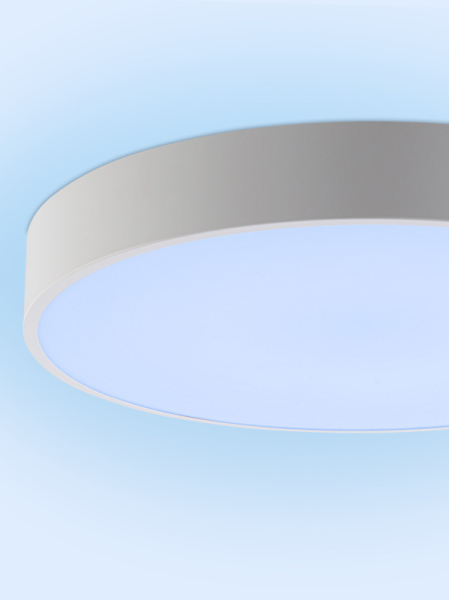 Накладной светильник Natali Kovaltseva LED LAMPS 81105/2C