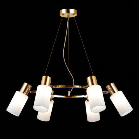 Подвесная люстра Evoluce SLE1139-303-06