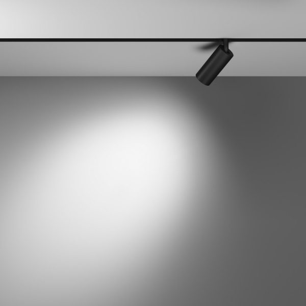 Светильник на шине Maytoni Technical TR032-4-5WTW-M-DSZ-B