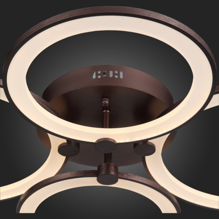 Накладная люстра ST-Luce SL867.702.04