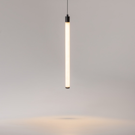 Подвесной светильник Maytoni Technical P021PL-L10B