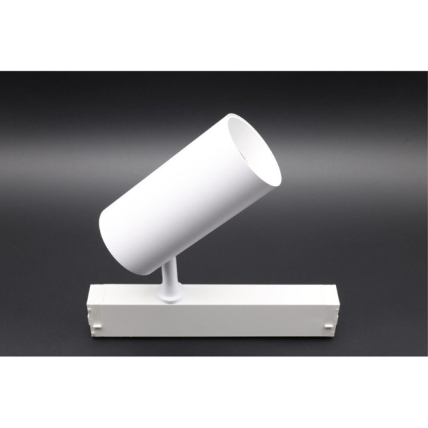 Светильник на шине APLOYT APL.0205.10.20