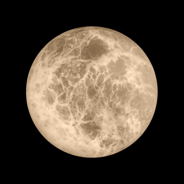 Бра LOFT IT 10414W/M