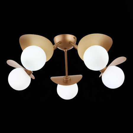 Накладная люстра Evoluce SLE220502-05